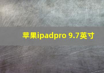 苹果ipadpro 9.7英寸